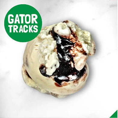 gator-tracks