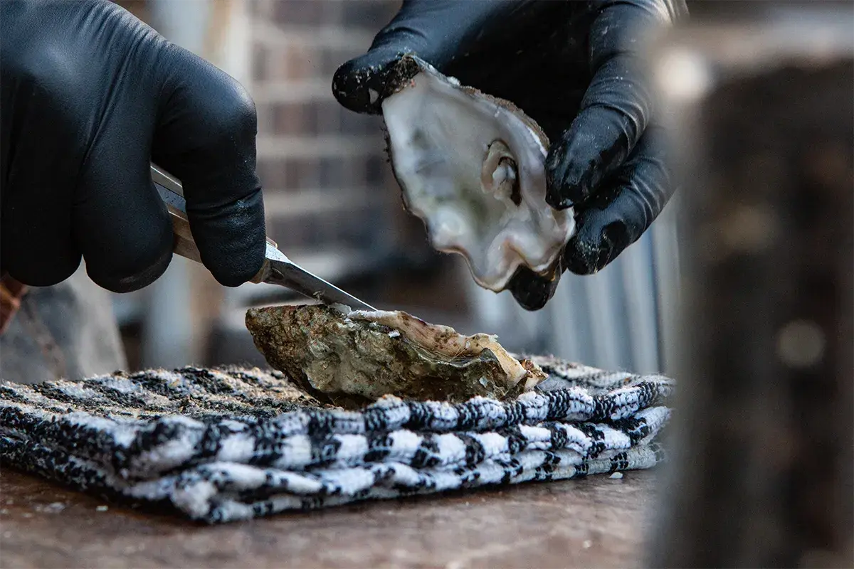 The Pros Guide to Oyster Etiquette